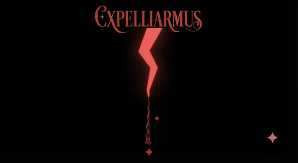 Camiseta Expelliarmus
