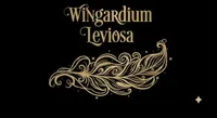 Camiseta Wingardium Leviosa — miniatura 1